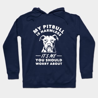 My Pitbull Is Harmless It's Me You Should Worry About T Shirt Hoodie